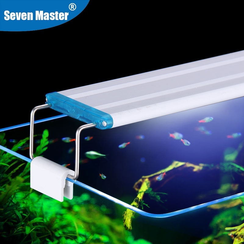 Cara Menjaga Keseimbangan Cahaya Dan Nutrisi Di Akuarium Low Tech