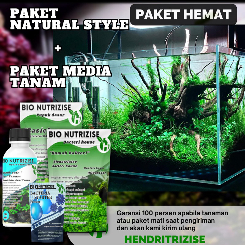Bisakah Tanaman Merah Hidup Di Aquascape Low Tech?