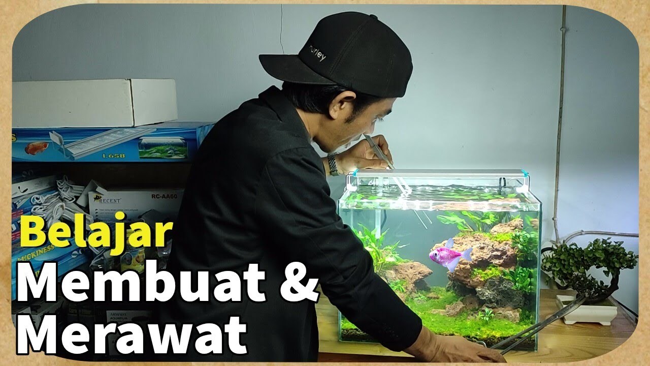 Berapa Biaya Awal (Budget) Untuk Membuat Aquascape Low Tech?