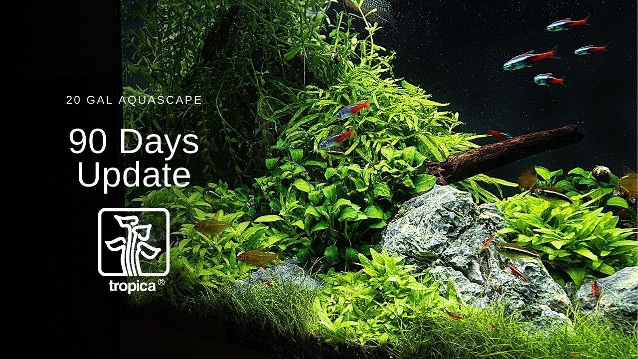 Form Ceklist APAR Kekinian Sudah Pakai Aplikasi Smartphone Form Ceklist APAR Kekinian Sudah Pakai Aplikasi Smartphone