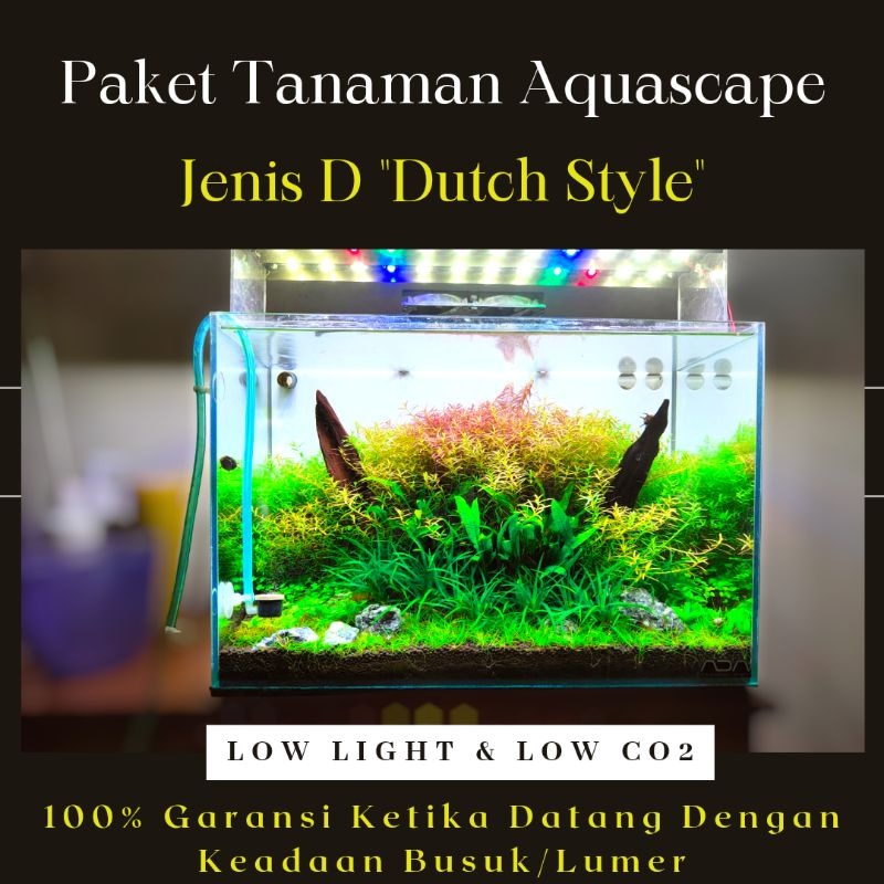 Panduan Memilih Lampu (Lighting) Untuk Aquascape Tanpa Co2